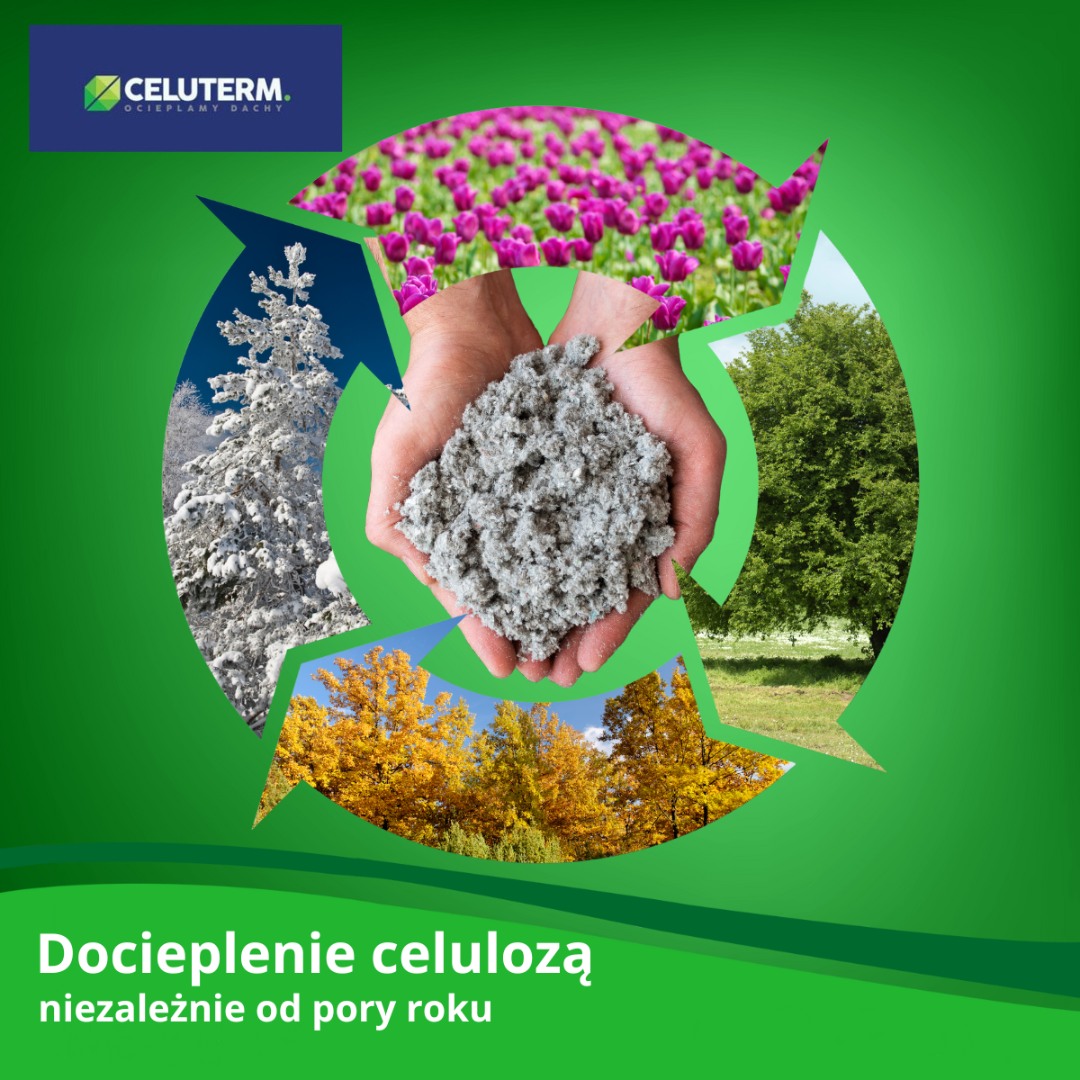 naprawa dachu po kunie