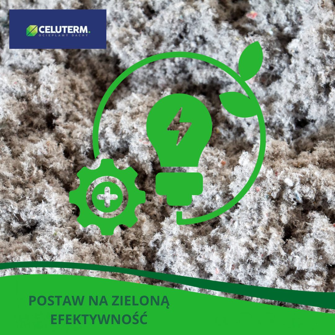 naprawa dachu po kunie